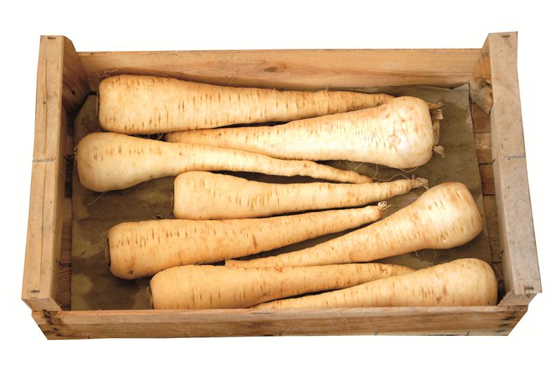 PANAIS CAISSE (BEL / LOT 260503 / CAISSE DE +- 4.5 KG)