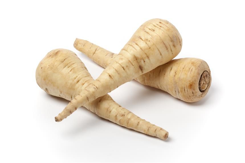 PANAIS PIECE (BEL / LOT 262104 / CAISSE DE 15 PIECES)