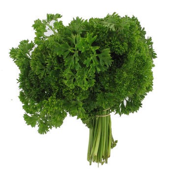 PERSIL FRISE BOTTE (BEL / LOT 262001 / CAISSE DE 10 BOTTES)