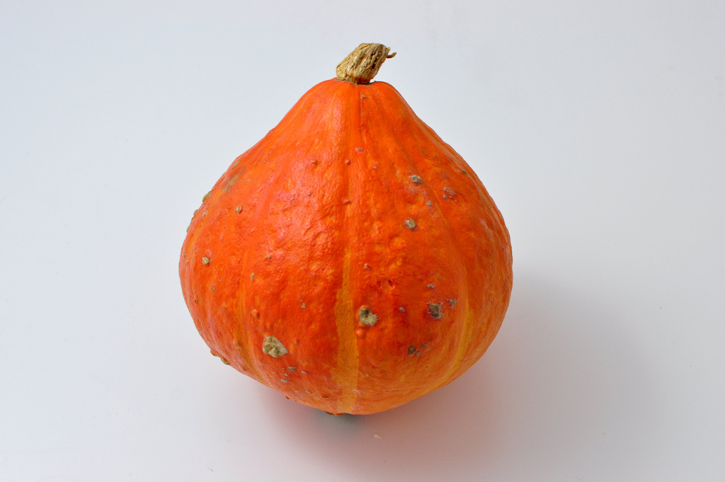 POTIMARRONS KG (BEL / LOT 262409 / CAISSE DE 12 KG)