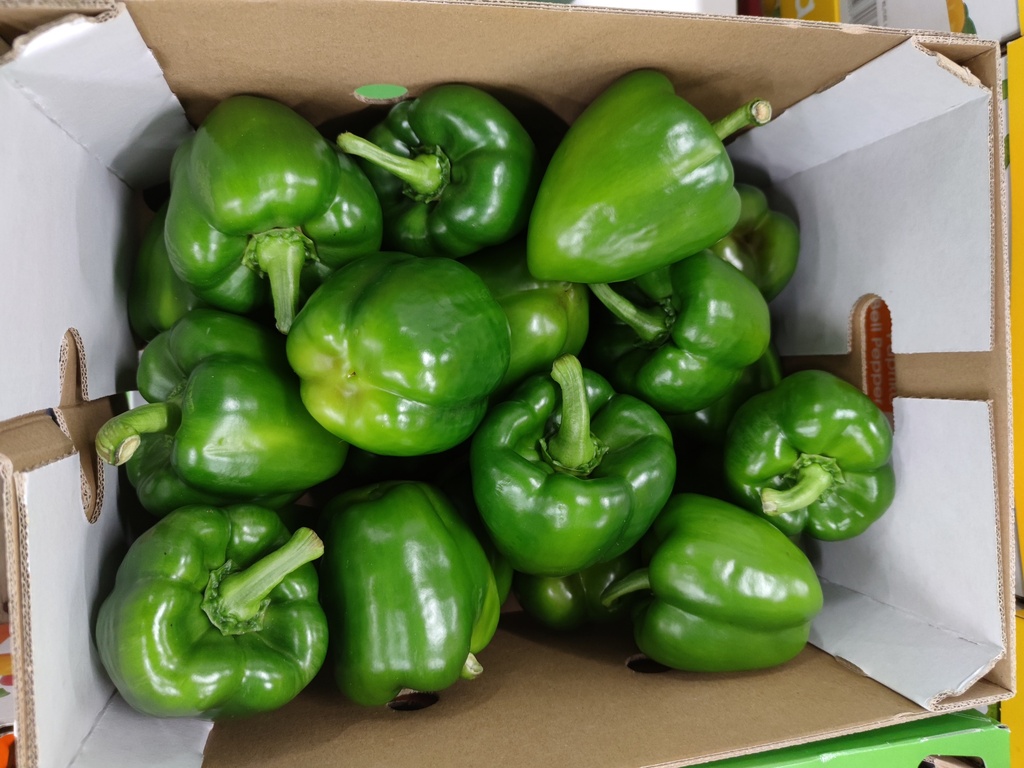 POIVRONS VERTS CAISSE (BEL / LOT 262603 / CAISSE DE 5 KG - CAL1 GG)