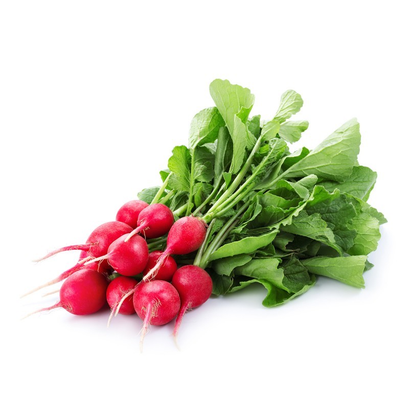 RADIS BOTTE (NL / LOT 260704 / CAISSE DE 8 BOTTES)