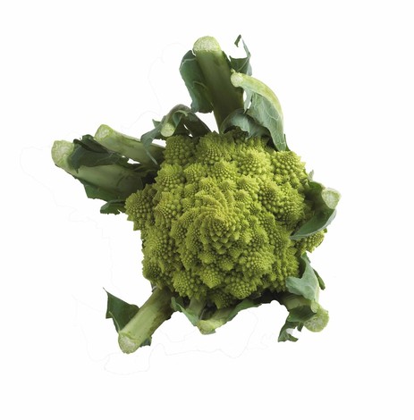 ROMANESCO PIECE (BEL / LOT 260705 / CAISSE DE 6 PIECES)