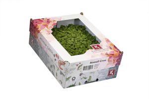 ATSINA CRESS CAISSE (P- B / CAISSE DE 16 RAVIERS)