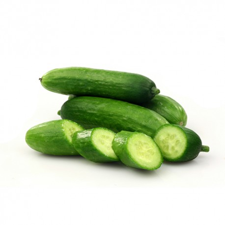 MINI CONCOMBRES CAISSE (ESP / LOT 261603 / CAISSE DE 5KG)