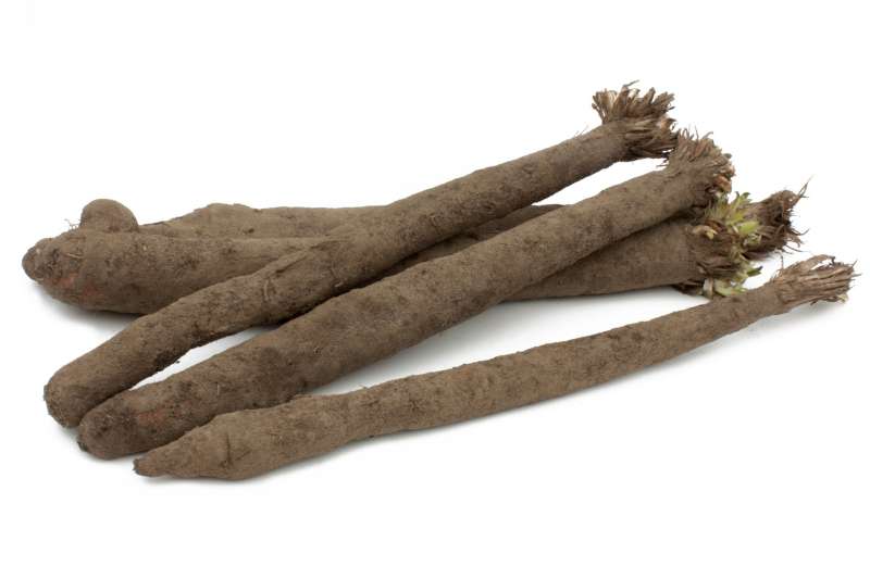 SALSIFIS KG (BEL / LOT 253101 / CAISSE DE 5 KG)