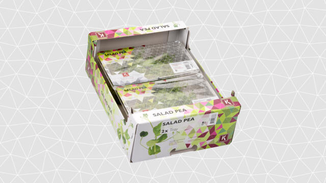 SALADE PEA CRESS CAISSE (P-B / CAISSE DE 2 RAVIERS)