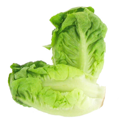 SUCRINE RAVIER (ESP / LOT 261304 / CAISSE DE 10 RAVIERS)