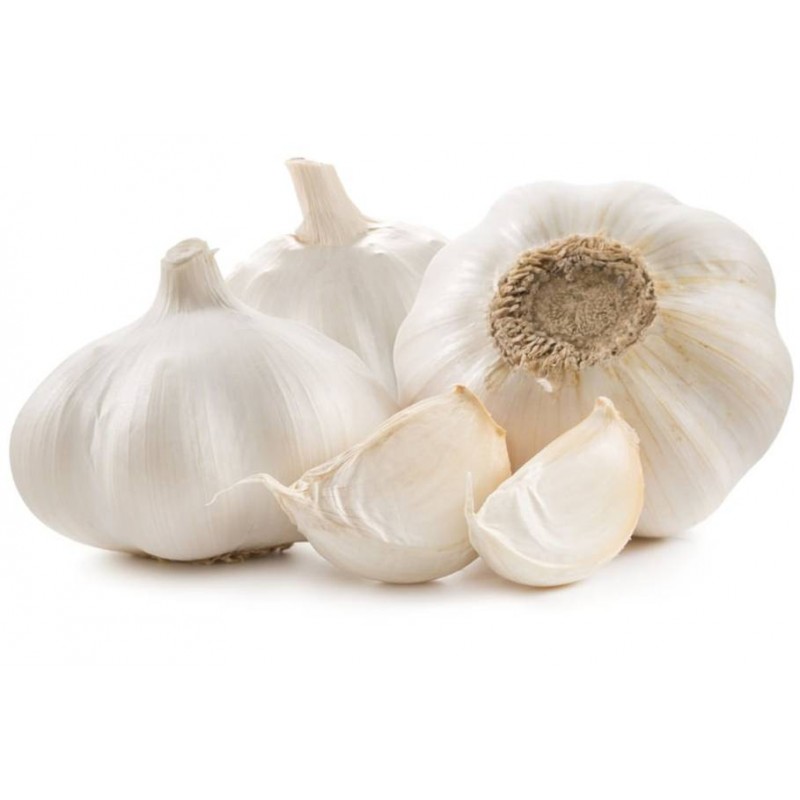 AIL FRAIS KG (FRANCE / LOT 261009 / CAISSE DE 5 KG)