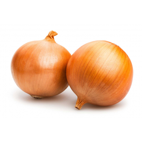 OIGNONS ESPAGNOL GROS KG (ESP / LOT 261008 / SAC DE 25 KG)