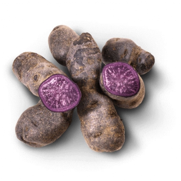PDT VITELOTTE CAISSE (FRANCE / LOT 263108 / CAISSE DE 5 KG)