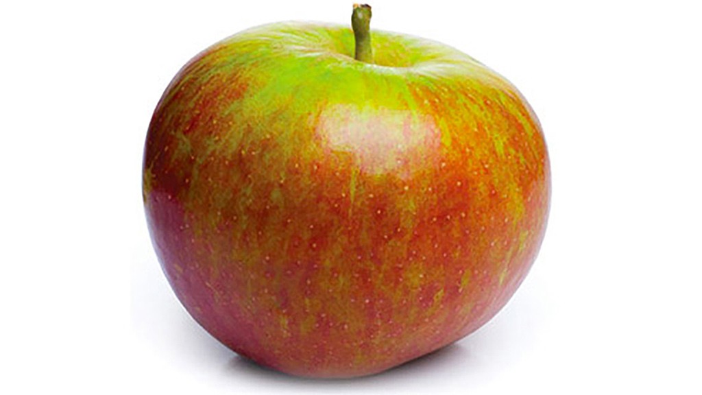 POMMES COX KG (BEL / LOT 262601 / 65/70 / CAISSE DE 11 KG)