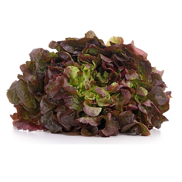 CHÊNES ROUGES VRAC CAISSE (BEL / LOT 262603 / CAISSE DE 8 PIECES)