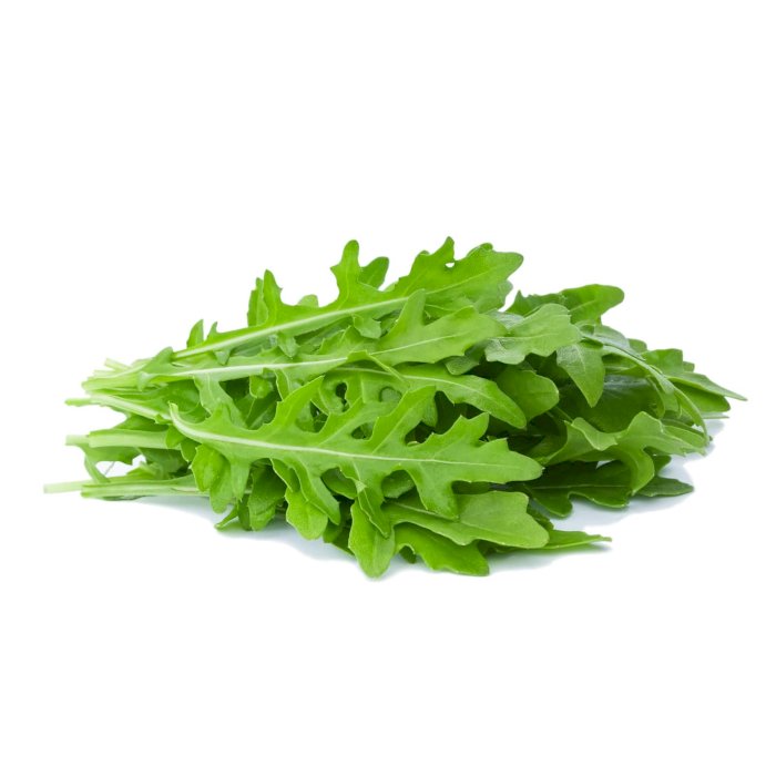 SALADE ROQUETTE RAVIER (MIOORTO / ITALIE / LOT 260408 / CAISSE DE 8 RAVIERS DE 100 GR)