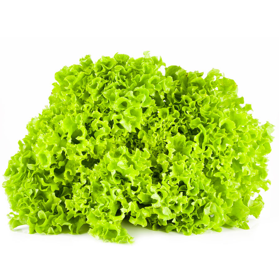 LOLLO VERTE PIECE (BEL / LOT 262603)