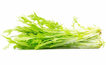 SALADE MITZUNA RAVIER DE 125 GR (ITALIE / LOT 252005)