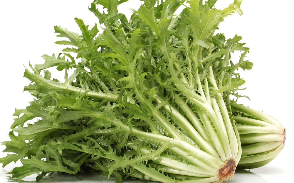 SALADE ENDIVE PIECE (ESP / LOT 263108 / CAISSE DE 10 PIECES)