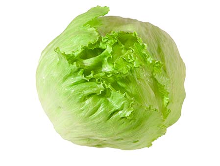 SALADE ICEBERG CAISSE (P-B / LOT 263004 / CAISSE DE 8 PIECES)