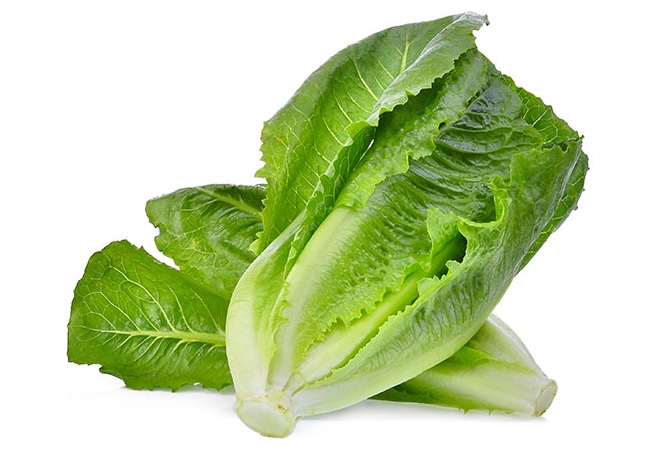 SALADE ROMAINE PIECE (BEL / LOT 260709 / CAISSE DE 8 PIECES)