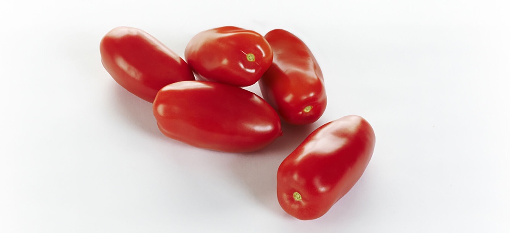 TOMATES MARZANO KG (BEL / LOT 262804 / CAISSE DE +- 4 KG)