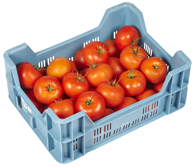 TOMATES A-AA CAISSE (CAT 1 / BEL / LOT 261308 / CAISSE DE 6 KG)