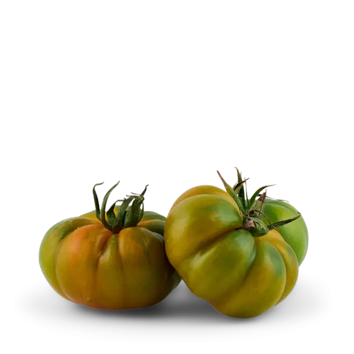 TOMATES MERINDA KG (IT / LOT 261203 / CAISSE DE 4.3 KG)